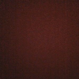 Meet your Posher, Tziporah